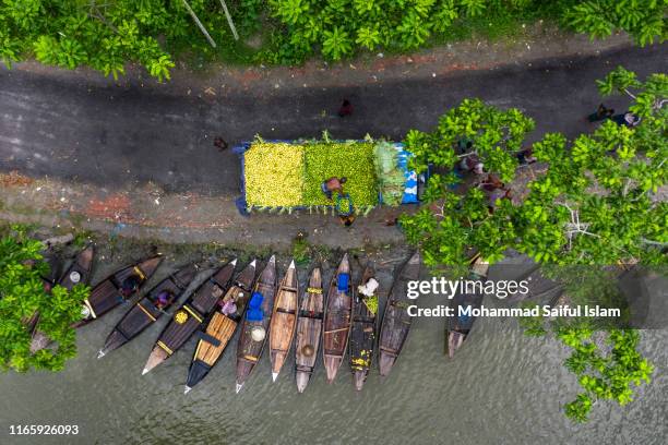 floating guava market in bangladesh - agriculture in bangladesh stock pictures, royalty-free photos & images