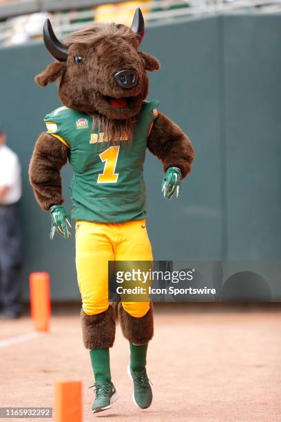 Minneapolis, MN North Dakota State Bison Mascot Thunder the Buffalo during the game between the Butler Bulldogs vs North Dakota State Bison on August...