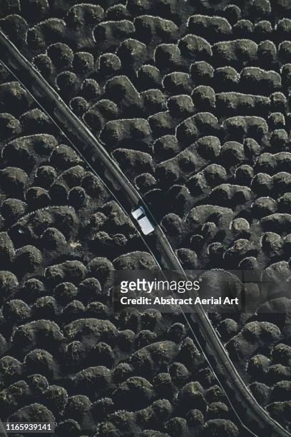 vineyards in the volcanic landscape and a off-road vehicle as seen from above, lanzarote - volcanic landscape stock pictures, royalty-free photos & images