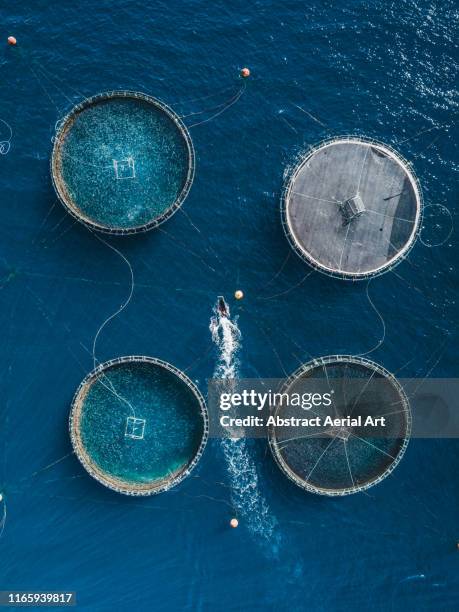 boat inspecting a fish farm as seen from above, lanzarote - fish scale pattern fotografías e imágenes de stock