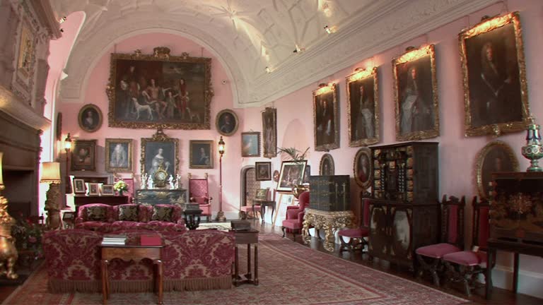 1,575 Castle Interior Stock Videos, Footage, & 4K Video Clips - Getty ...