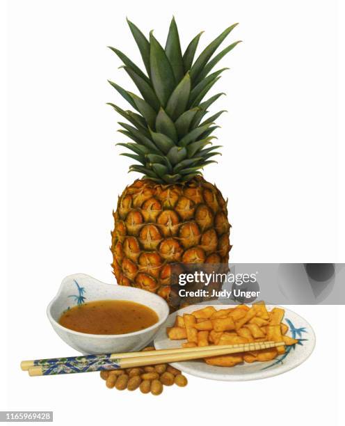asian salad ingredients - wonton salad stock illustrations