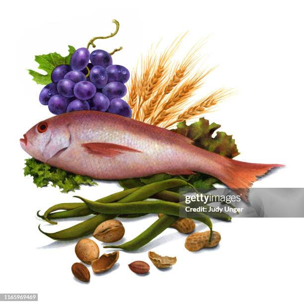 food group and fish - fish food photography stock illustrations