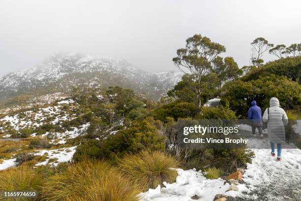 my female friends went to tasmania - cradle mountain tasmania stock pictures, royalty-free photos & images