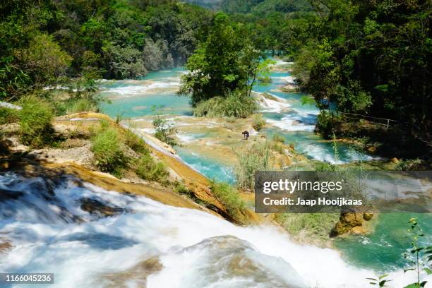 agua azul waterfalls - agua azul stock-fotos und bilder