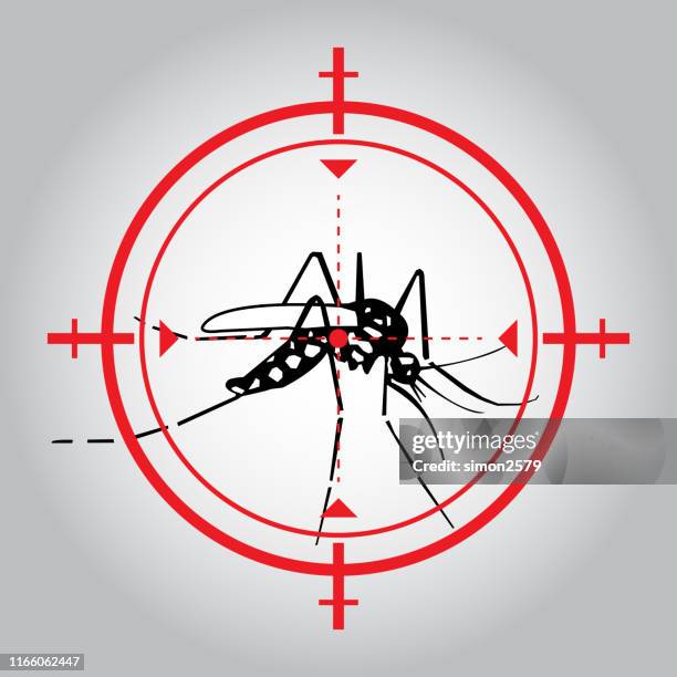 kill mosquito and stop malaria danger warning signal - aedes aegypti stock illustrations