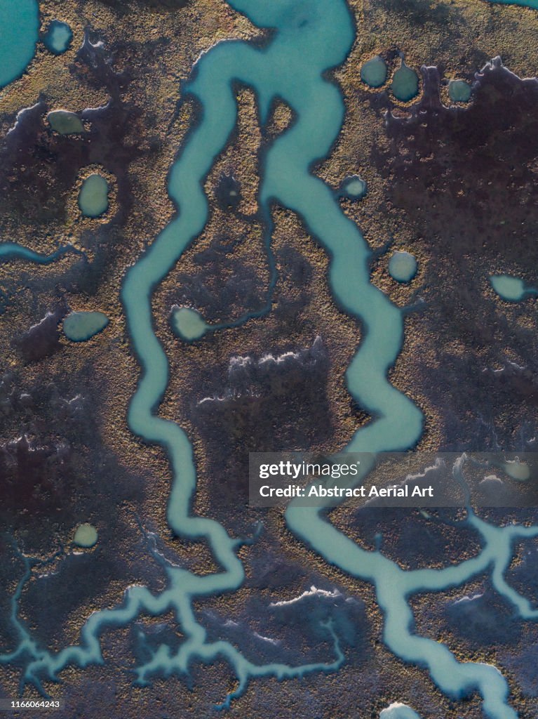 Aerial image above winding river channels in the marshland, Andalusia, Spain