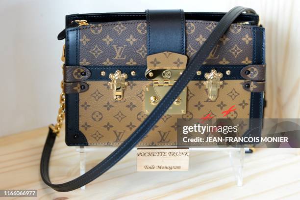 60,605 Louis Vuitton Bag Stock Photos, High-Res Pictures, and