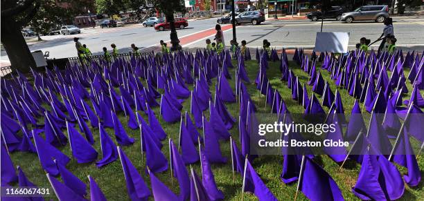 More than 2,000 purple flags are planted to represent every Massachusetts resident who has died of an opioid overdose since 2017 on the lawn of the...