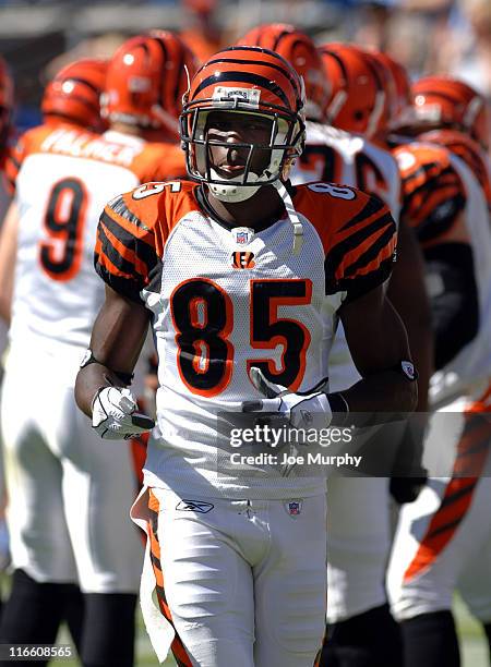 Bengals Chad Johnson. The Cincinnati Bengals beat the Tennessee Titans 31-23 on October 15, 2005.
