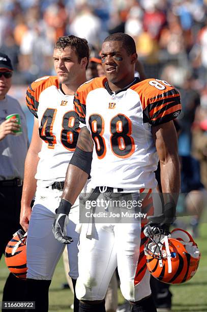 Cincinnati Bengals Tab Perry and Brad St. Louis look on from the sideline during the game against the Tennessee Titans at the Coliseum in Nashville,...