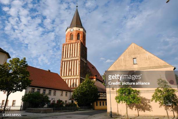 August 2019, Brandenburg, Calau: The Protestant town church Calau. Photo: Jens Kalaene/dpa-Zentralbild/ZB