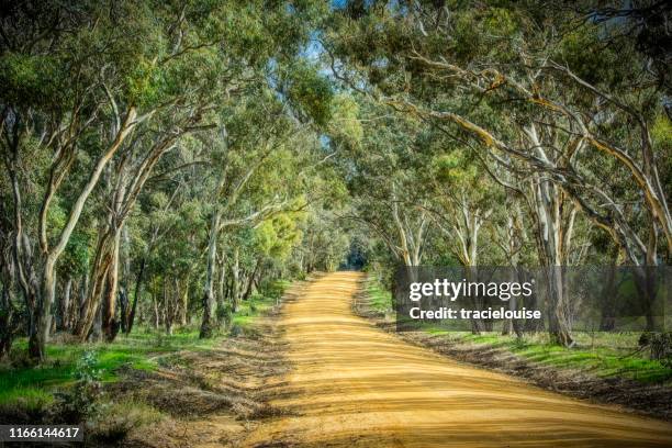 bush road - country road australia stockfoto's en -beelden