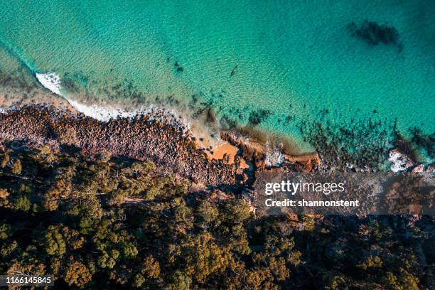 令人難以置信的努沙調色板 - sunshine coast australia 個照片及圖片檔