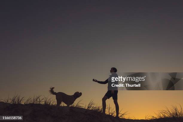 teenage boy playing with his dog at sunset - labradoodle stock pictures, royalty-free photos & images