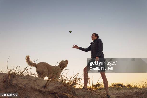 tiener jongen spelen met zijn honden bij zonsondergang - apporteren stockfoto's en -beelden