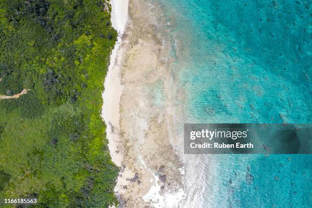 bird's eye view of blue reef water a beach and a tropical forest - sea water bird fotografías e imágenes de stock