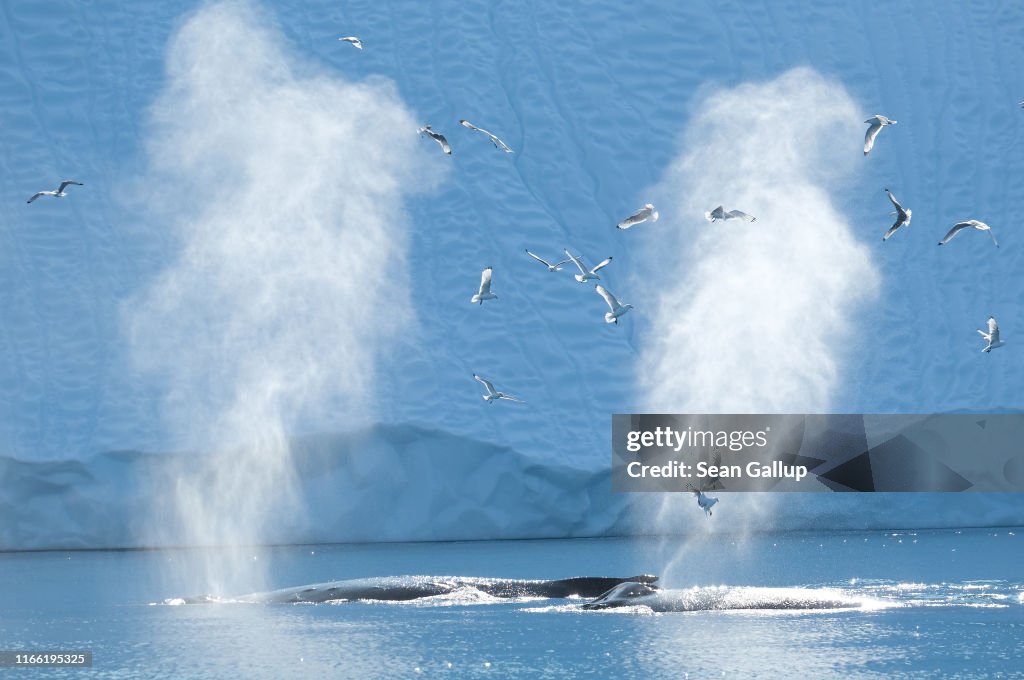 Western Greenland Hit By Unseasonably Warm Weather