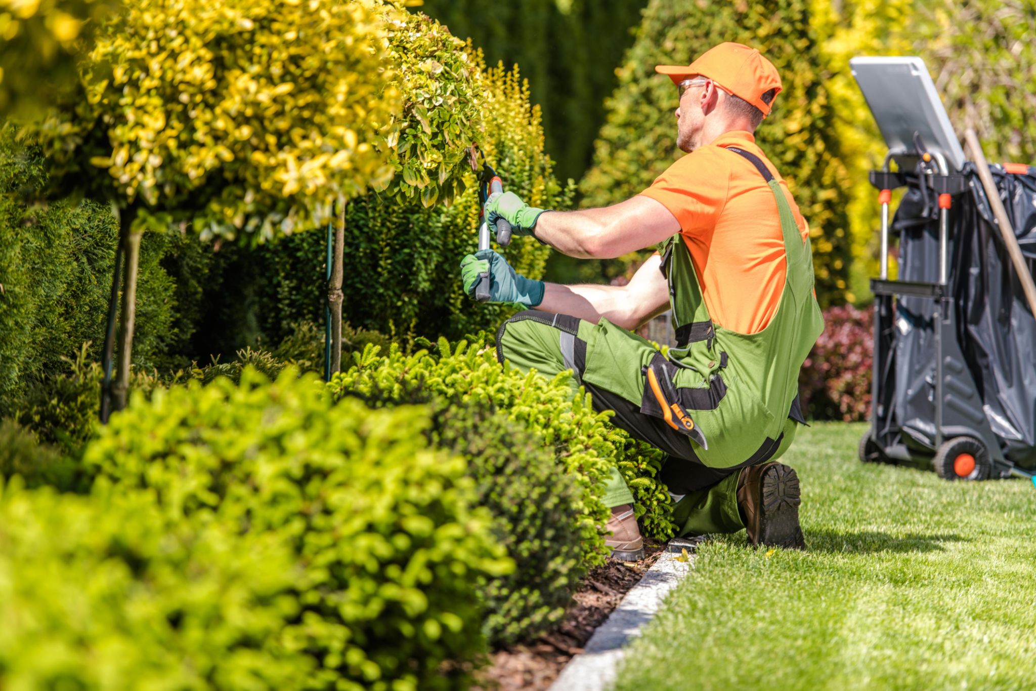 landscape maintenance