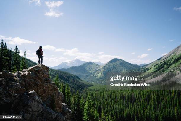 female hiker on an adventure stands on a platform on a mountain looking out - shoes top view stock pictures, royalty-free photos & images