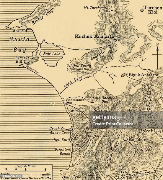 Positions of Australian and New Zealand forces on the Gallipoli peninsula in Turkey, First World War, July 1915, . 'Map showing approximately the...