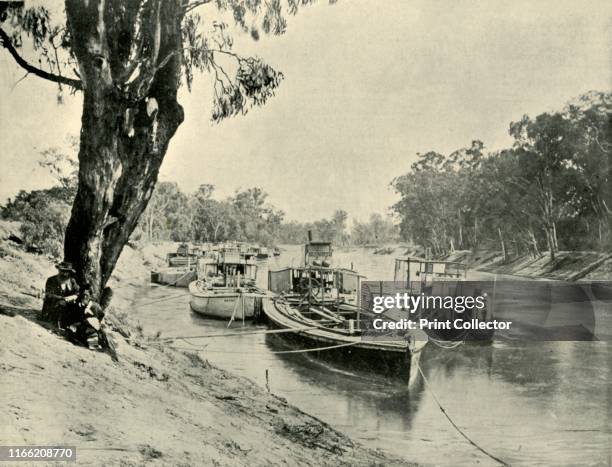 Murray Barges and Steamboats at Echuca', 1901. Echuca on the banks of the Murray River From "Federated Australia". [The Werner Company, London,...