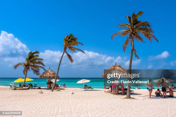 aruba, arashi beach - dutch caribbean island stock pictures, royalty-free photos & images
