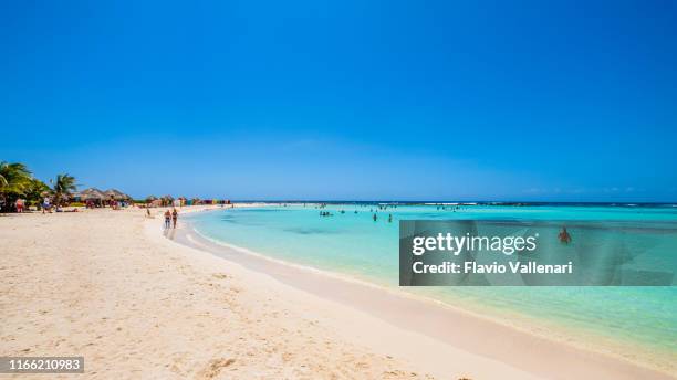 79 Baby Beach Aruba Photos and Premium High Res Pictures - Getty Images 79 Baby Beach Aruba Photos and Premium High Res Pictures - Getty Images