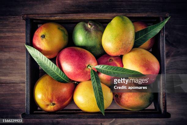 houten kist met diverse en mango's in rustieke keuken. natuurlijke verlichting - raw mango stockfoto's en -beelden