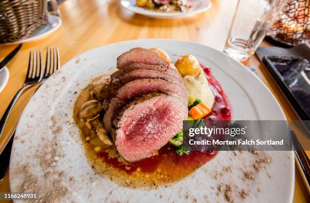 gourmet reindeer steak in trondheim, norway - trondheim stock pictures, royalty-free photos & images