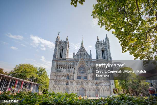 nidarosdomen cathedral - trondheim stock-fotos und bilder