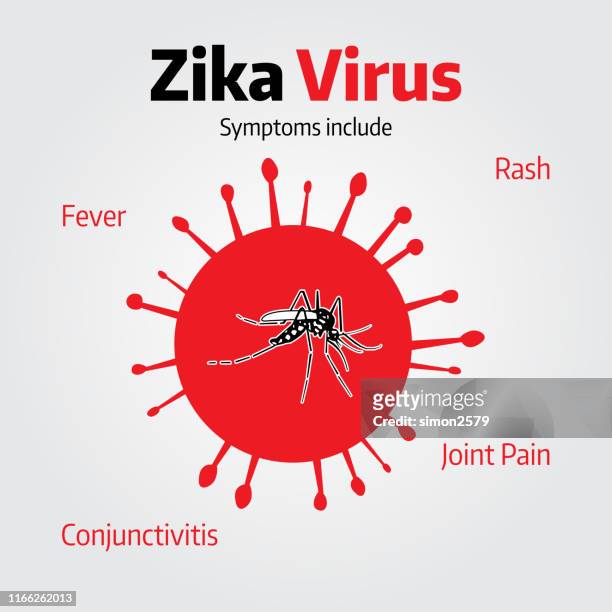 ilustrações, clipart, desenhos animados e ícones de gráfico de sintomas do vírus zika - symptom