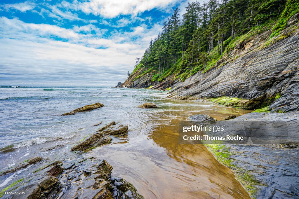 The coaast at Oswald West State Park