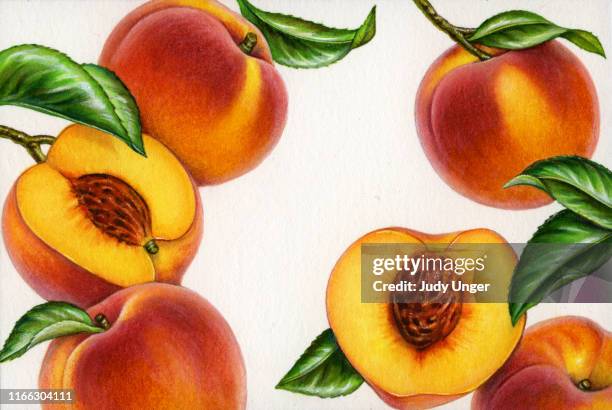 peach frame - photo realism stock-grafiken, -clipart, -cartoons und -symbole