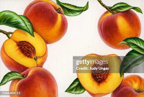 Peach Frame Peach Frame