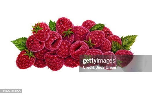 Raspberries Large Group Raspberries Large Group