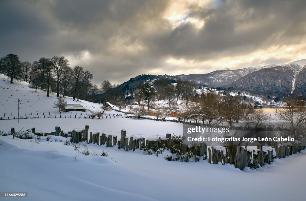 Comunidades rurales cerca del poblado de Icalma en invierno