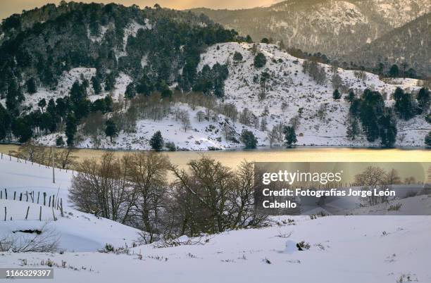 laguna chica de icalma bajo la luz invernal - luz brillante stock-fotos und bilder