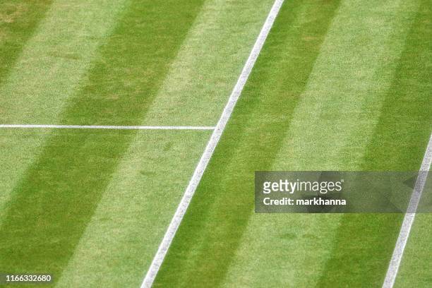 close-up of a grass tennis court - grass court stock-fotos und bilder