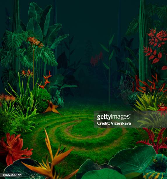 surrealistische nacht jungle - jungle leaves stockfoto's en -beelden