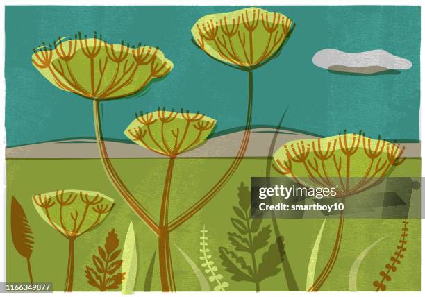 stockillustraties, clipart, cartoons en iconen met landelijke scène met wilde bloemen en zaad hoofden - cow parsley