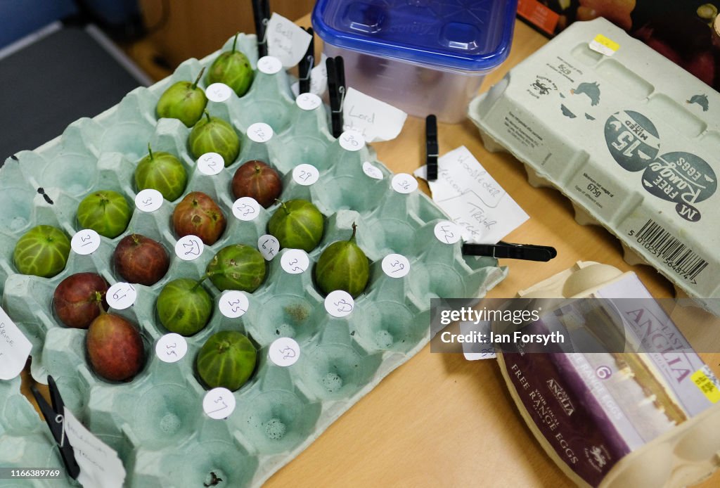 Egton Gooseberry Show