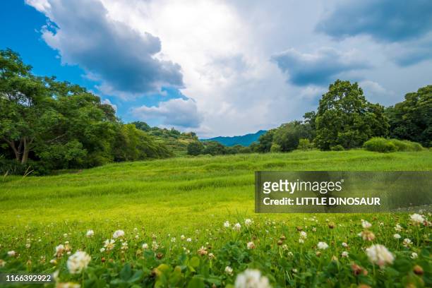 the green hill. asuka, nara, japan - 奈良県 ストックフォトと画像