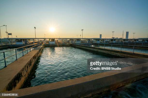 water treatment plant - sewage stock pictures, royalty-free photos & images