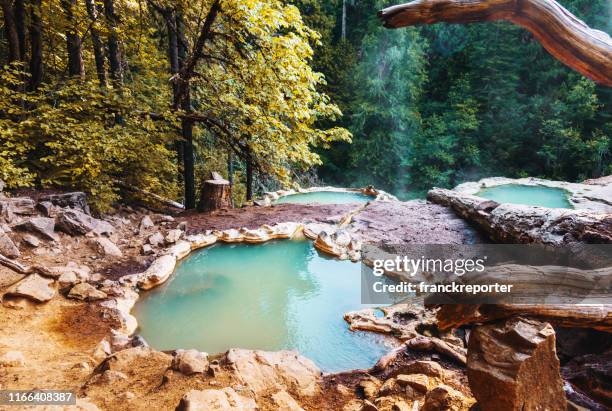 man resting in an hot spring in oregon - hot spring stock pictures, royalty-free photos & images