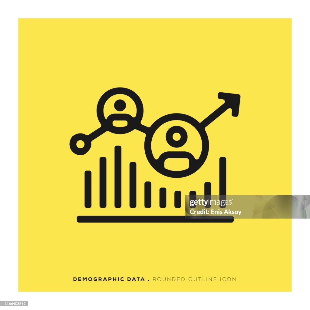Demographic Data Icon