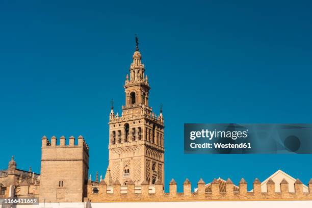 the royal alcazar and la giralda tower minaret, seville, spain - la giralda photos et images de collection