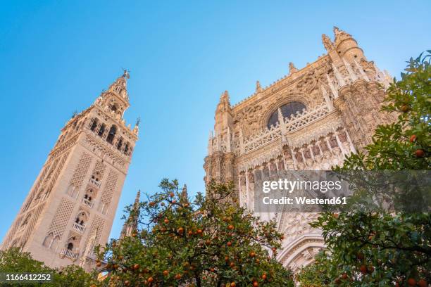 cathedral of seville and la giralda, seville, spain - la giralda stock pictures, royalty-free photos & images