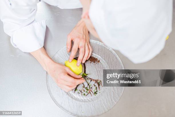 junior chef prepairing a dessert plate - accompagnement professionnel photos et images de collection