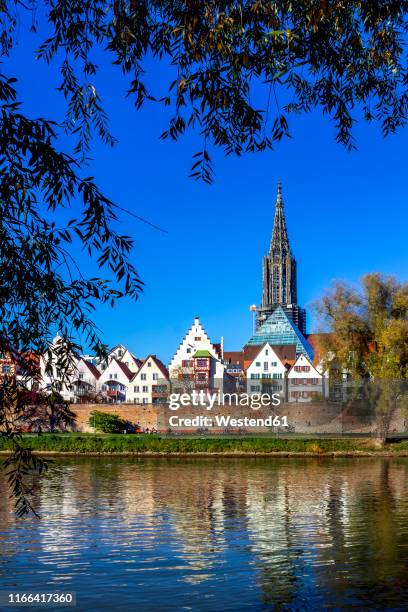 minster, ulm, germany - ulm minster stock pictures, royalty-free photos & images